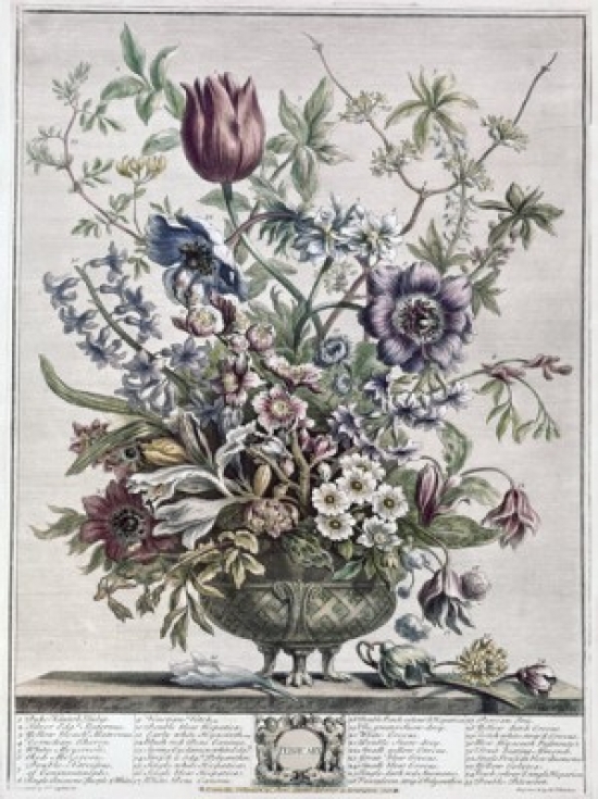 February 1730 H. Fletcher Ca.18th C. British Lithograph Poster Print - 18 x 24 in.