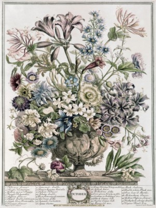 October 1730 H. Fletcher Ca.18th C. British Lithograph Poster Print - 18 x 24 in.