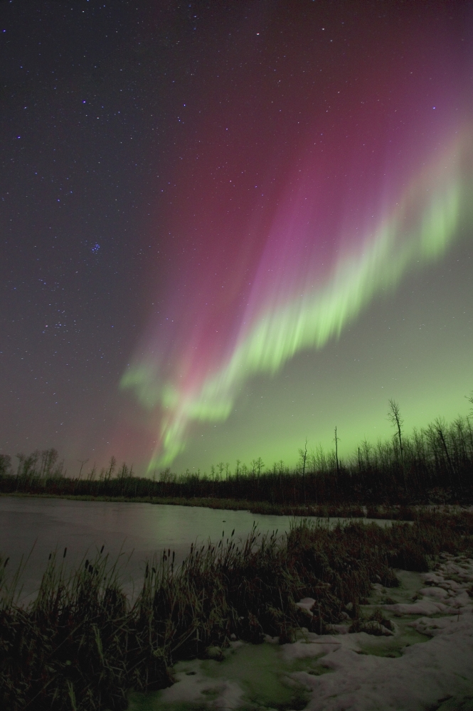 DPI1771360LARGE Northern Lights Edmonton Alberta Canada Poster Print by Carson Ganci, 22 x 34 - Large