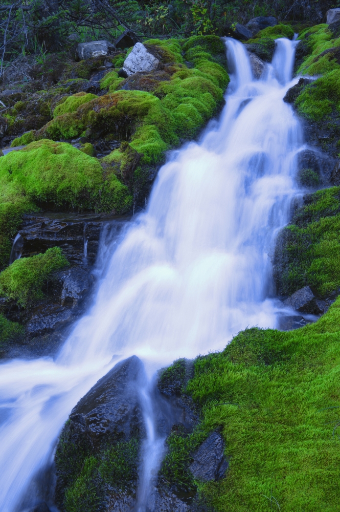 DPI1772738LARGE Bright Waterfall Jasper Alberta Canada Poster Print by Don Hammond, 24 x 38 - Large