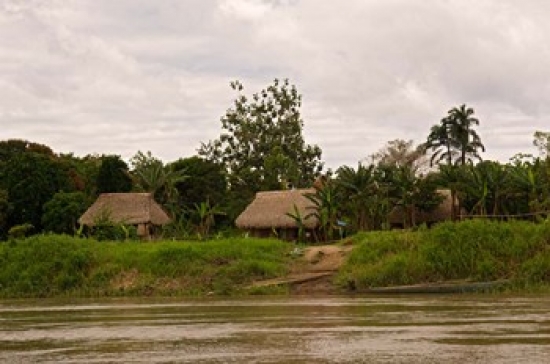 PDDSA17BJA0091 Indian Village on Rio Madre De Dios Amazon River Basin Peru Print by Jaynes Gallery