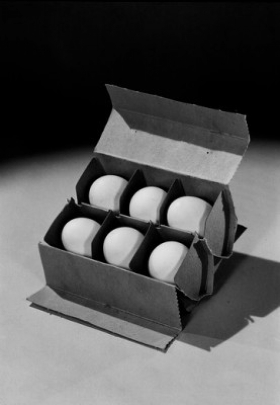 Six Eggs in Egg Carton Poster Print - 18 x 24 in.