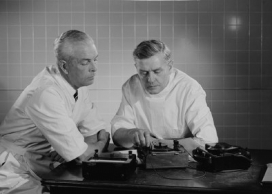 Two Doctors Concentrating in Office Poster Print - 18 x 24 in.
