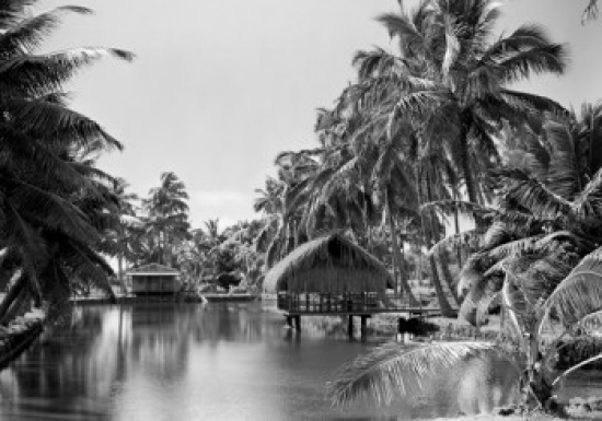 USA Hawaii Grass Hut Poster Print - 18 x 24 in.