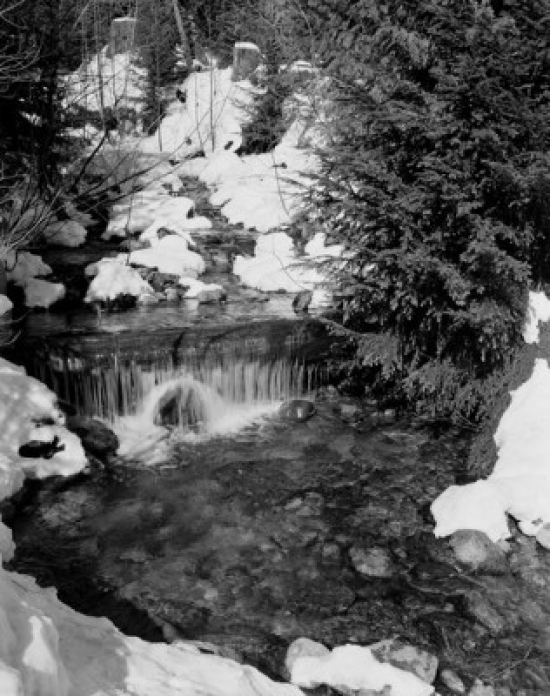 Mountain Stream in Spring Poster Print - 18 x 24 in.