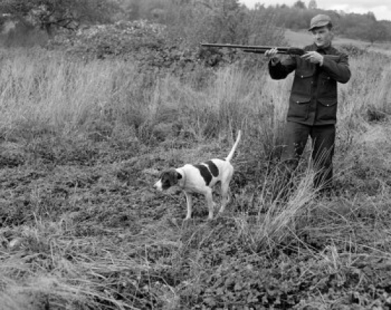Man with Hound Hunting in Fields Poster Print - 18 x 24 in.