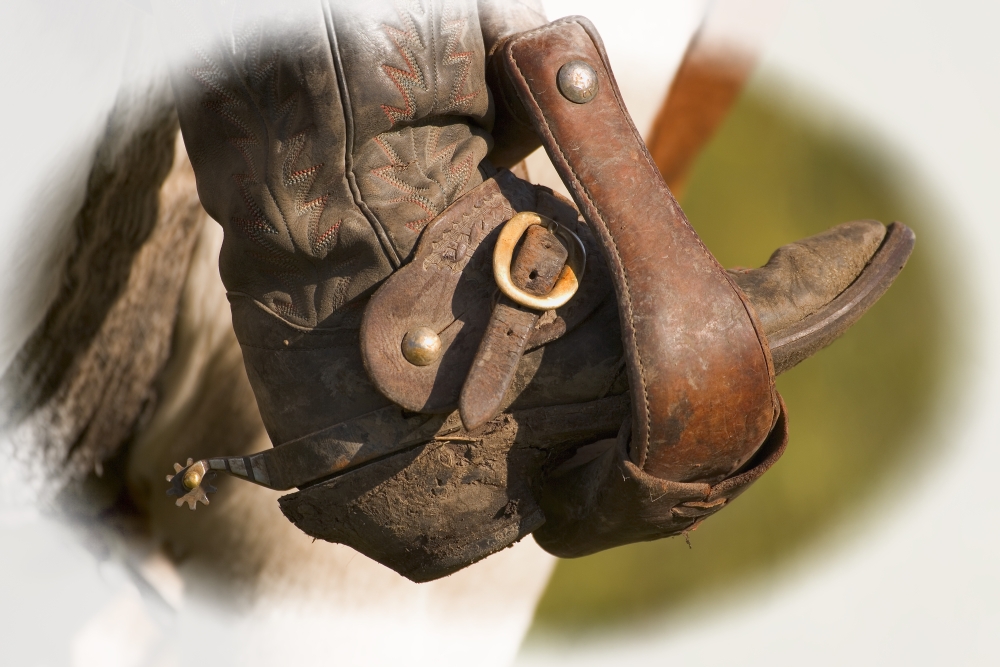 A Cowboy Boot Poster Print by Carson Ganci, 34 x 22 - Large