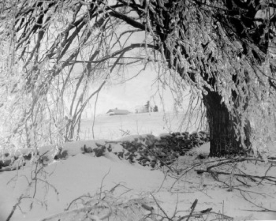 Winter Scenic Poster Print - 18 x 24 in.