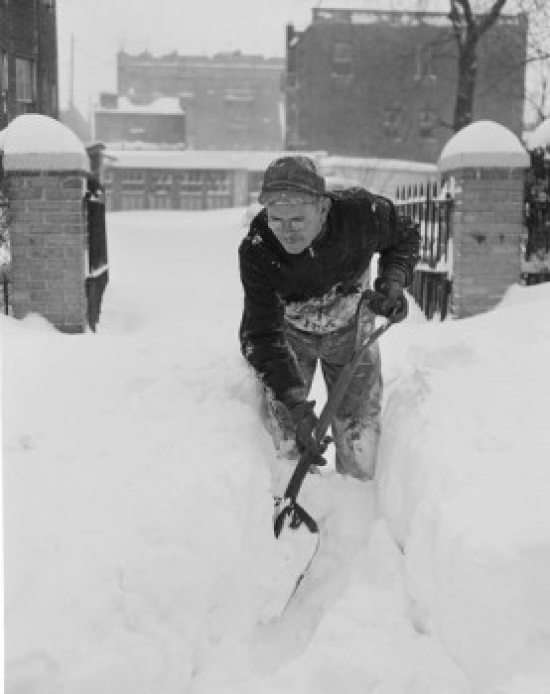 Man Digging Snow From Garden Path Poster Print - 18 x 24 in.