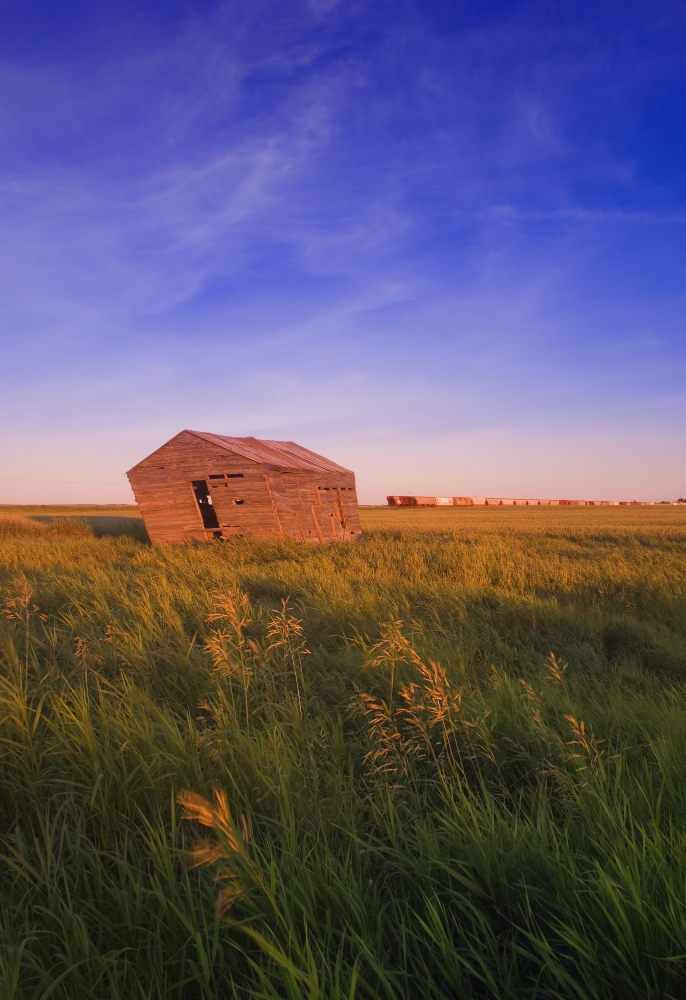 Dilapidated Shack in a Field Poster Print by Carson Ganci, 22 x 34 - Large