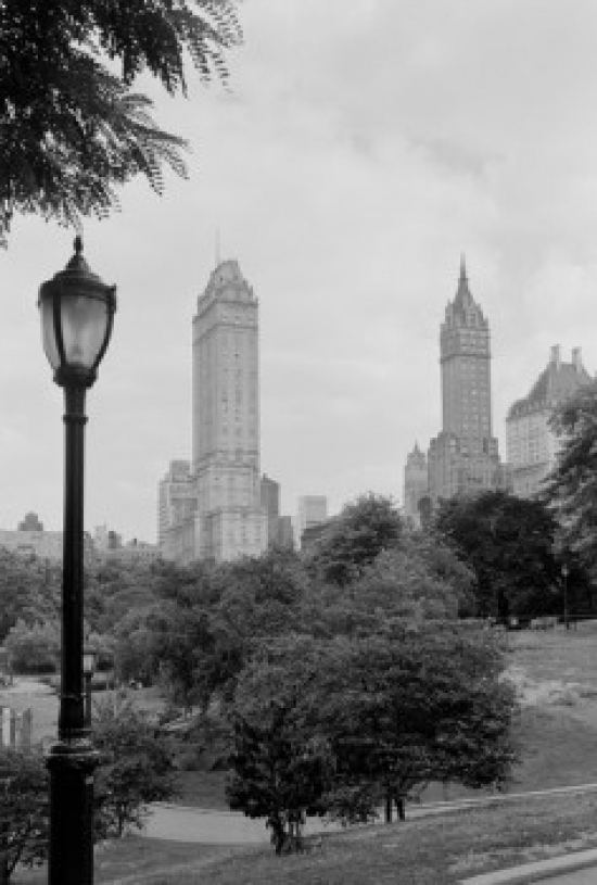 USA New York State New York City View of Fifth Avenue Skyline From Central Park Poster Print - 18 x 24 in.