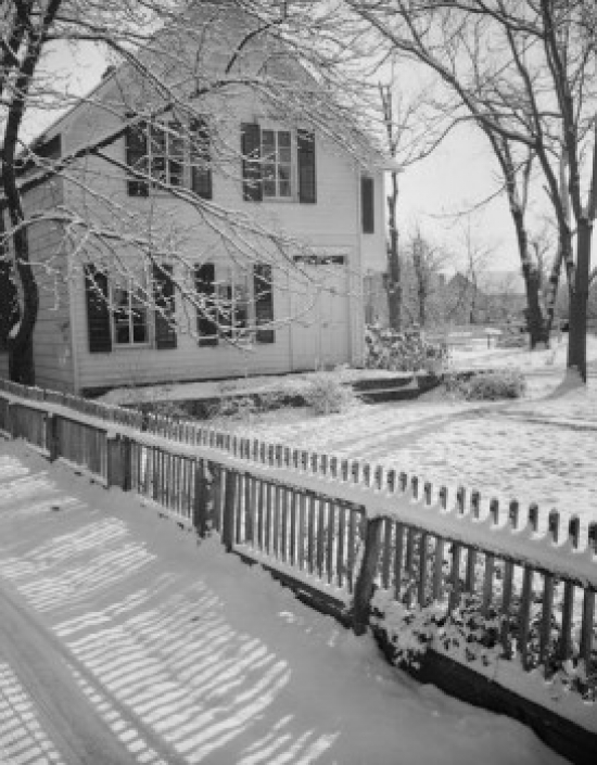 Backyard in Winter Poster Print - 18 x 24 in.
