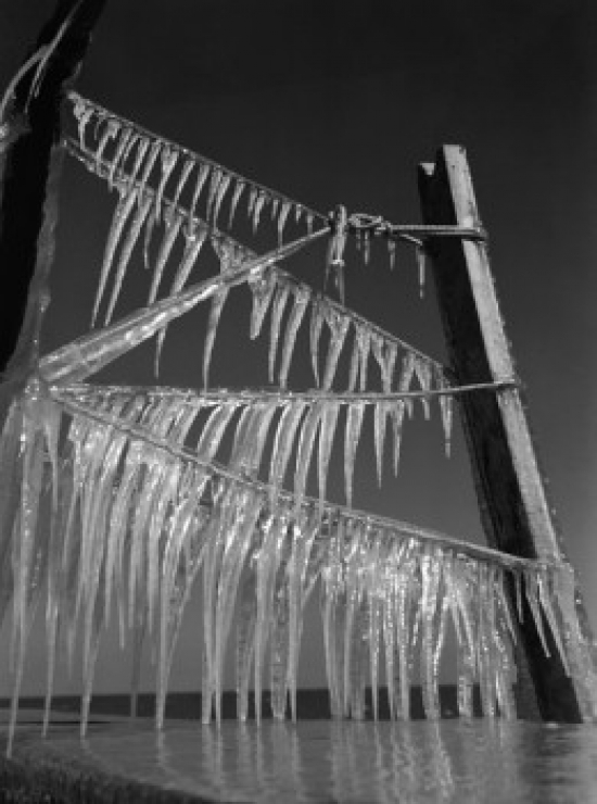 Icicles on Wooden Posts Poster Print - 18 x 24 in.