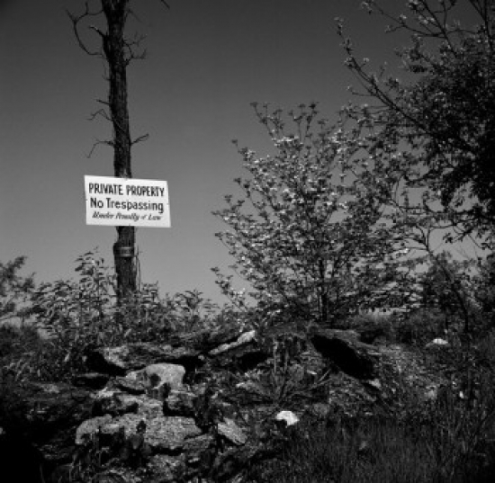 Private Property Warning Sign on Tree Poster Print - 18 x 24 in.