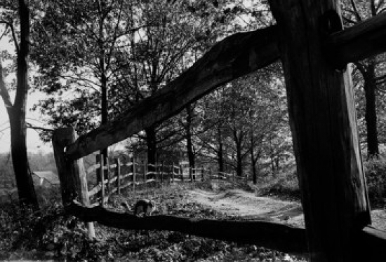 Squirrel on Rail Fence in Autumn Setting Poster Print - 18 x 24 in.