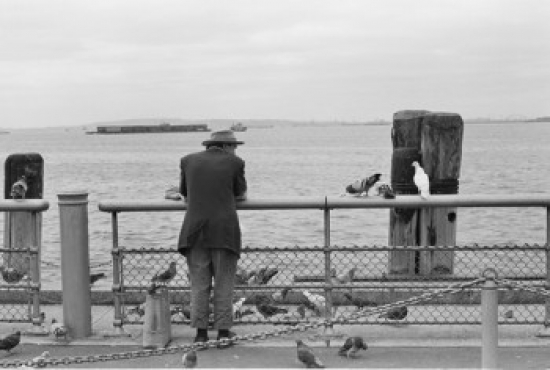SAL255424883 USA New York City Man & Pigeons on Pie Poster Print - 18 x 24 in.