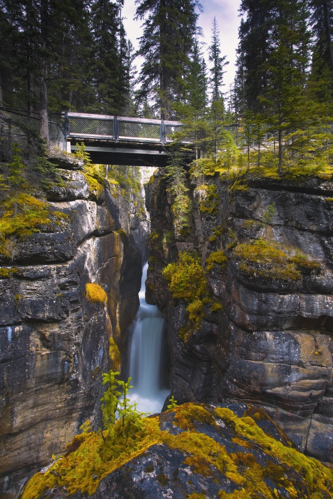 Maligne Canyon Waterfall Jasper National Park Jasper Alberta Canada Poster Print by Carson Ganci, 11 x 17