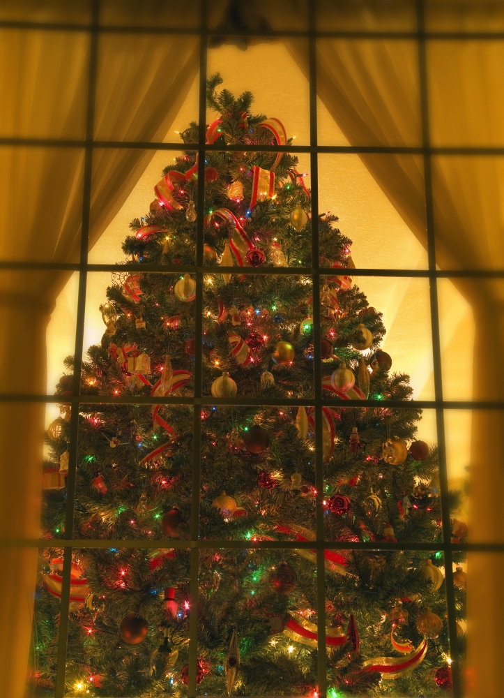 Looking At Indoor Christmas Tree Through Window Poster Print by Carson Ganci, 12 x 17
