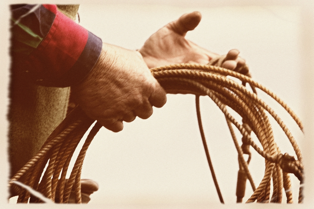 Cowboy Holding Lasso Poster Print by Carson Ganci - 17 x 11