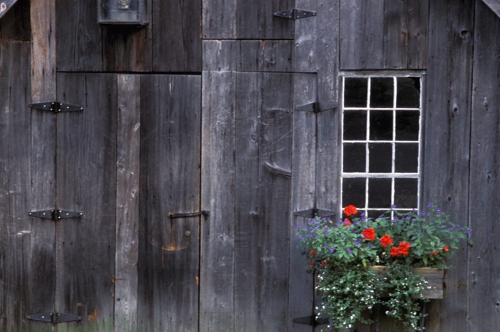 Wooden Building & Window Box Poster Print by David Chapman, 17 x 11