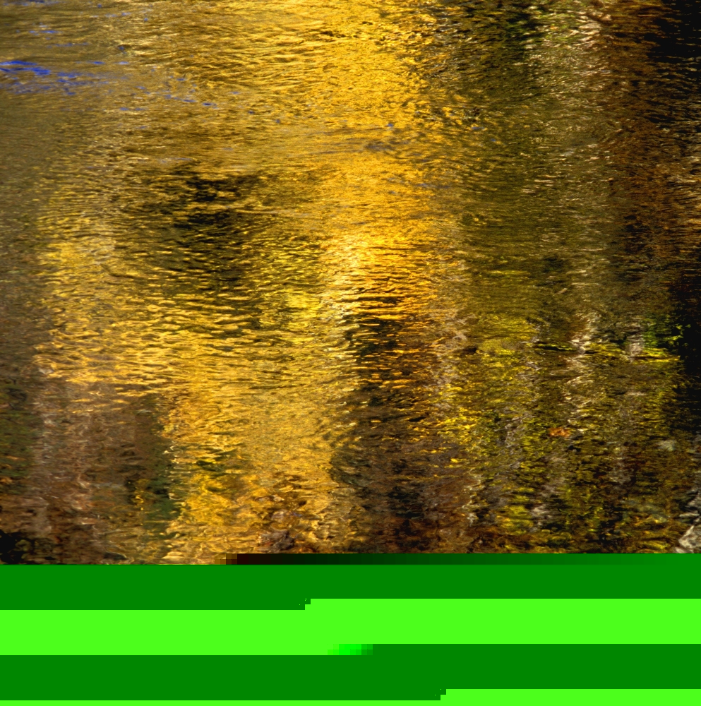 Reflections On The Water Poster Print by David Chapman, 14 x 14