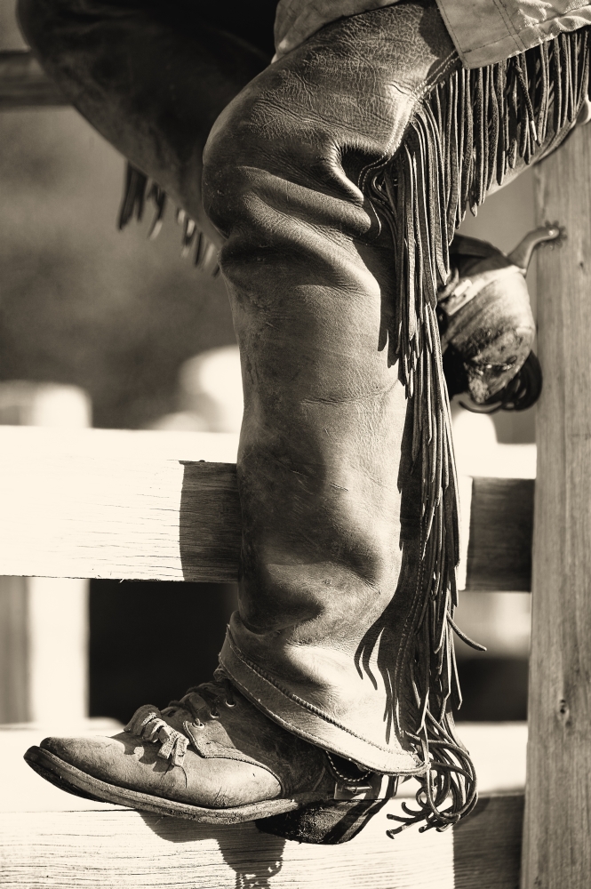 Cowboy Poster Print by Carson Ganci, 11 x 17