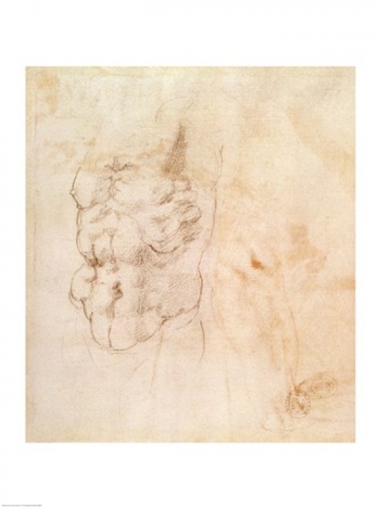 Torso Study Poster Print by Michelangelo Buonarroti - 18 x 24 in.