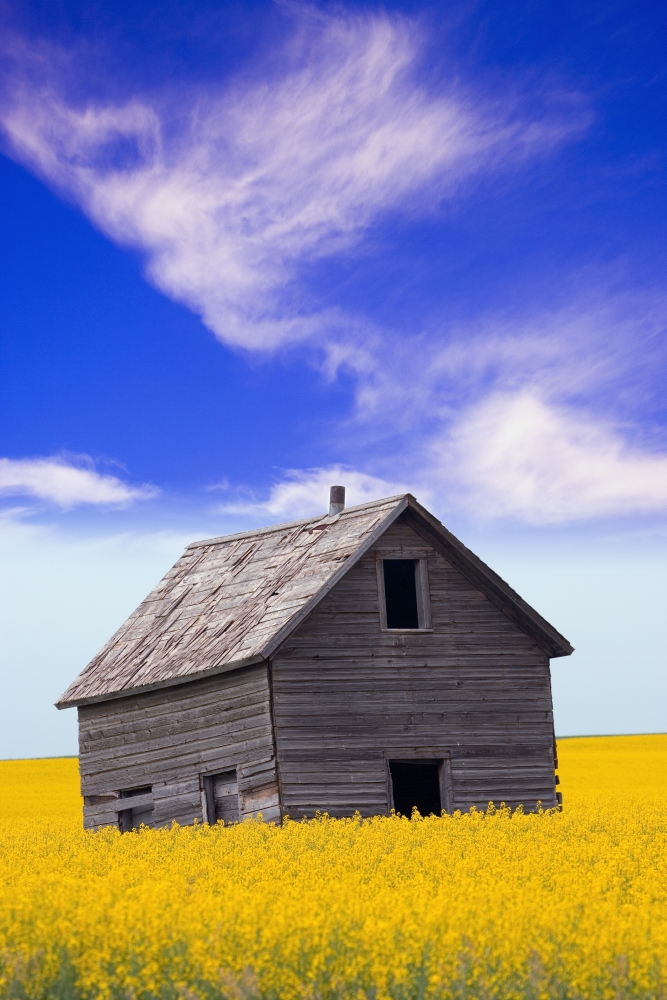 An Abandoned Farm Building Poster Print by Carson Ganci, 11 x 17