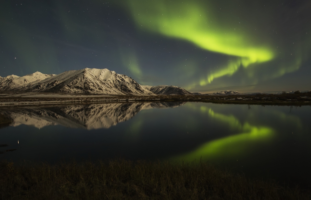 Northern Lights Aurora Borealis Over The Dempster Highway & Reflected Into A Pond - Yukon Canada Poster Print by Robert Postma - 19 x 12