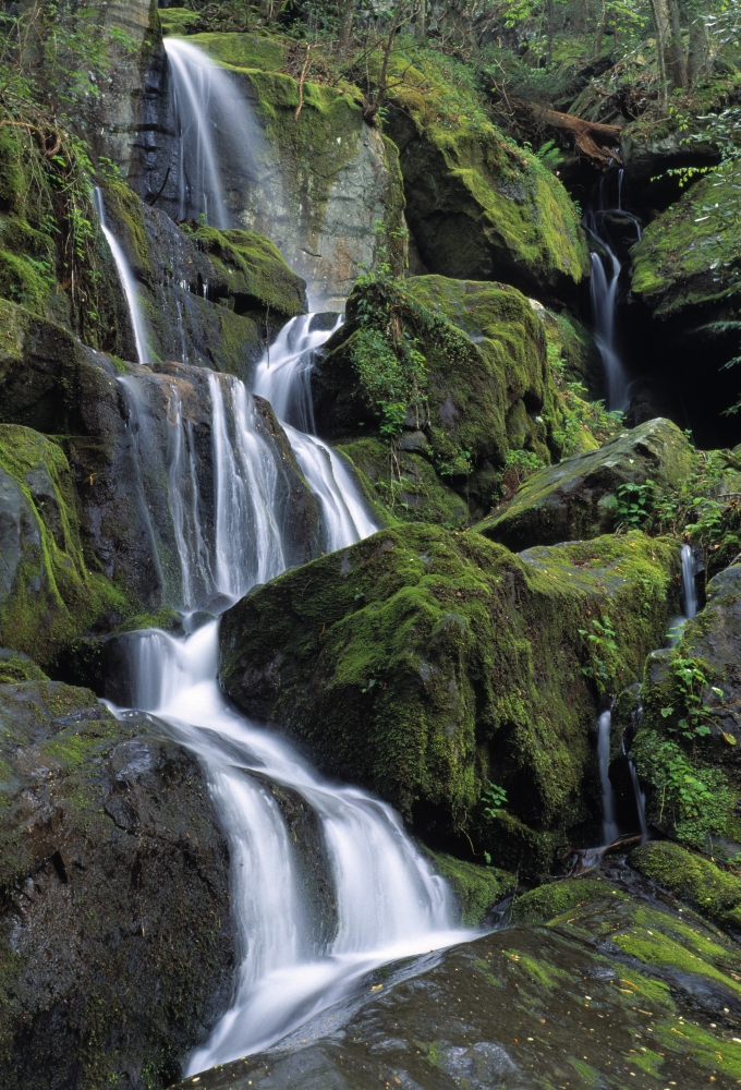 Thousand Drips Waterfall Roaring Fork Area Great Smoky Mountains National Park Tennessee USA Poster Print by Natural Selection Robert Cable, 12 x 18