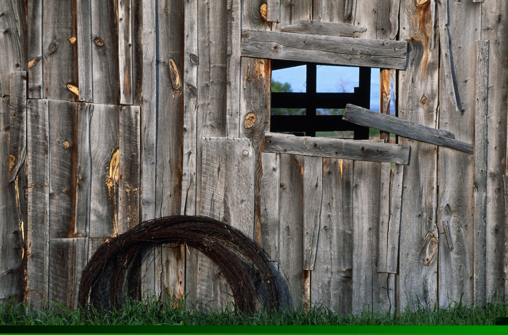 Roll of Barbed Wire On Weathered Barn Poster Print by Natural Selection John Reddy - 18 x 12