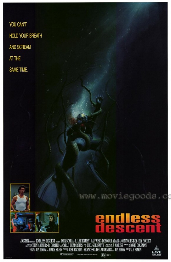 Endless Descent Movie Poster - 27 x 40 in.
