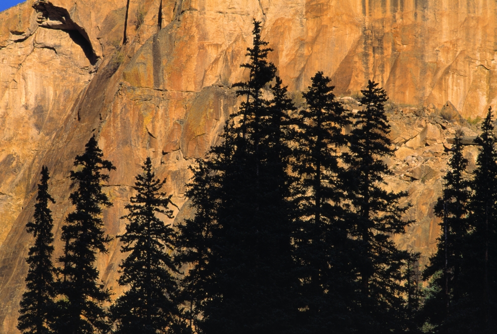 Tree Silhouettes in Front of Cliff Face Poster Print by Natural Selection David Ponton - 18 x 12