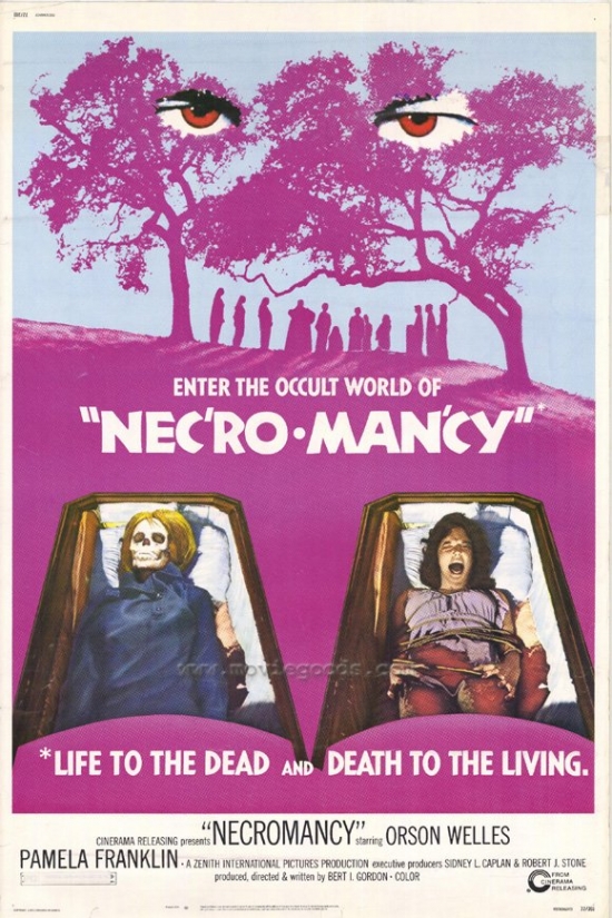 MOVCF0445 Necromancy Movie Poster - 27 x 40 in.