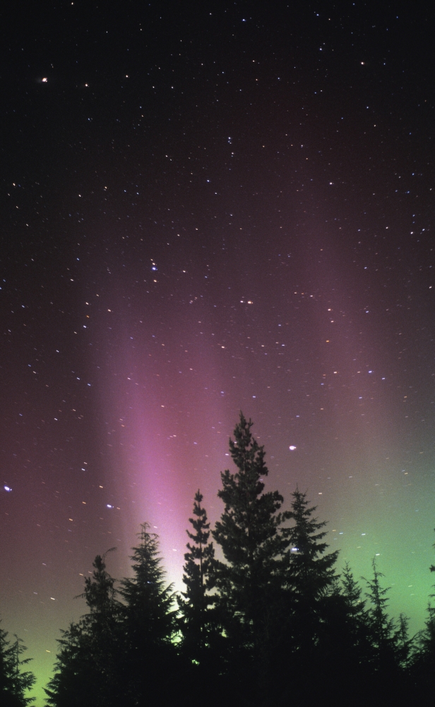 Northern Lights Poster Print by Sean White, 11 x 17