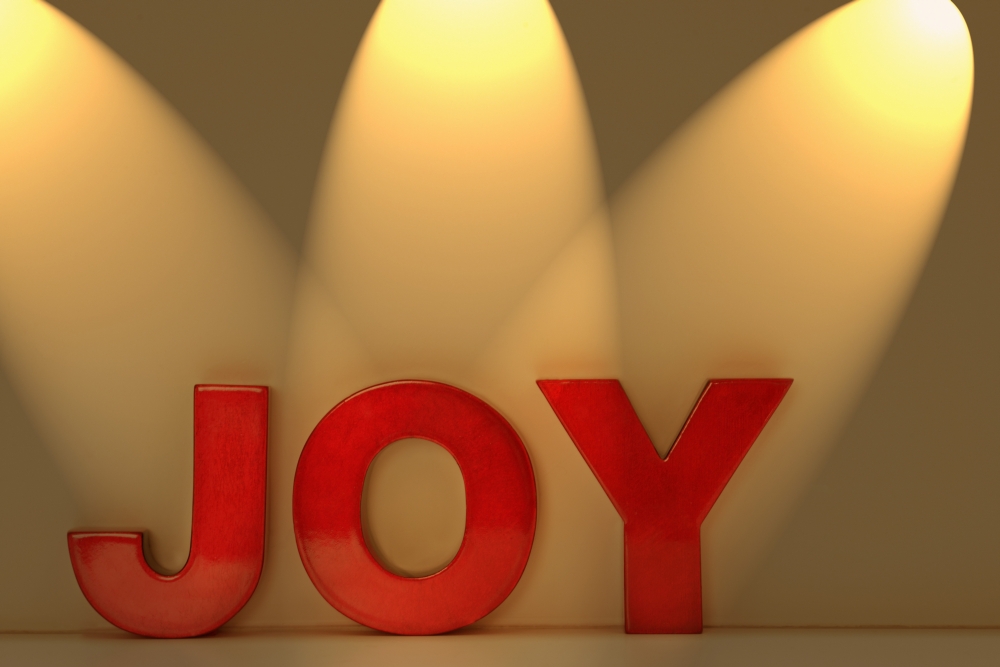Joy Poster Print by Leah Hammond - 17 x 11