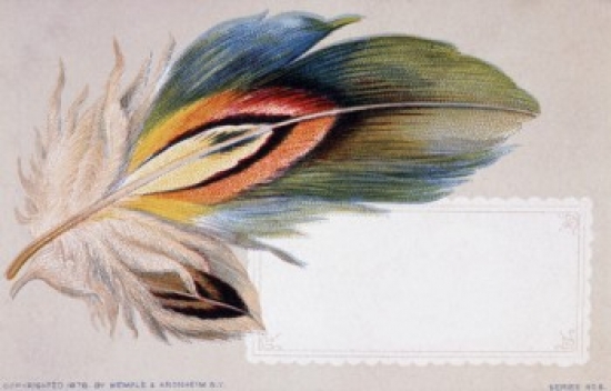 Feather Nostalgia Cards Poster Print - 18 x 24 in.