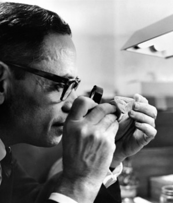 SAL9901176 Mid Adult Man Examining a Diamond with the Help of a Magnifying Glass Poster Print - 18 x 24 in.