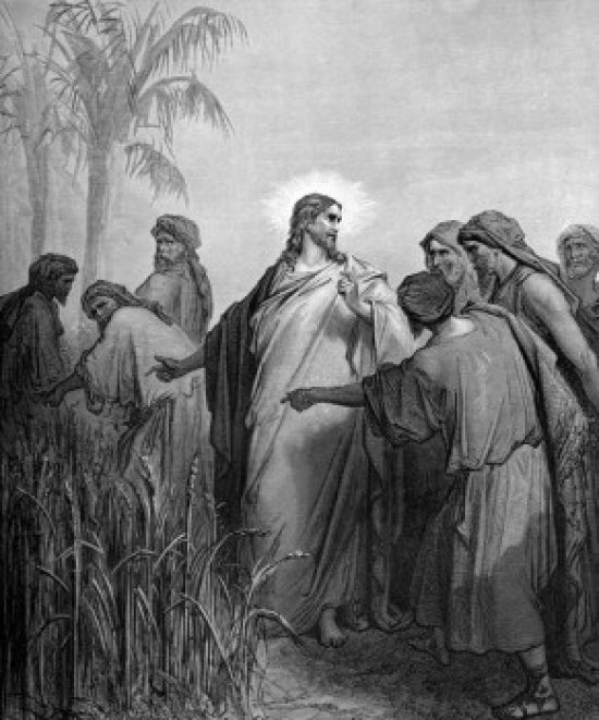 The Disciples Puck Corn on the Sabbath by Gustave Dore 1832-1883 Poster Print - 18 x 24 in.
