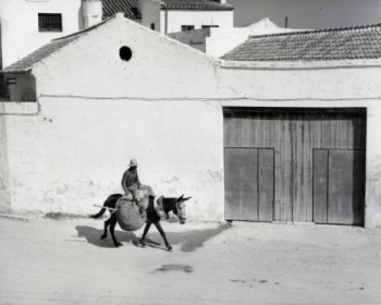 Osuna Spain Poster Print - 18 x 24 in.