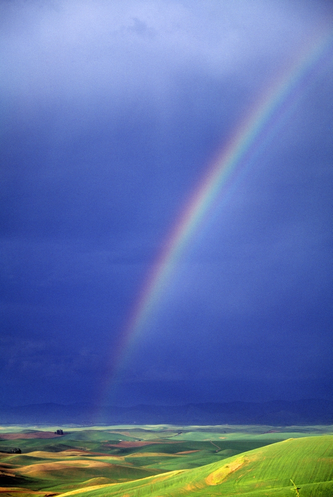 DPI1788851 Rainbow Over Rolling Hills Poster Print by Natural Selection Chris Pinchbeck, 12 x 18