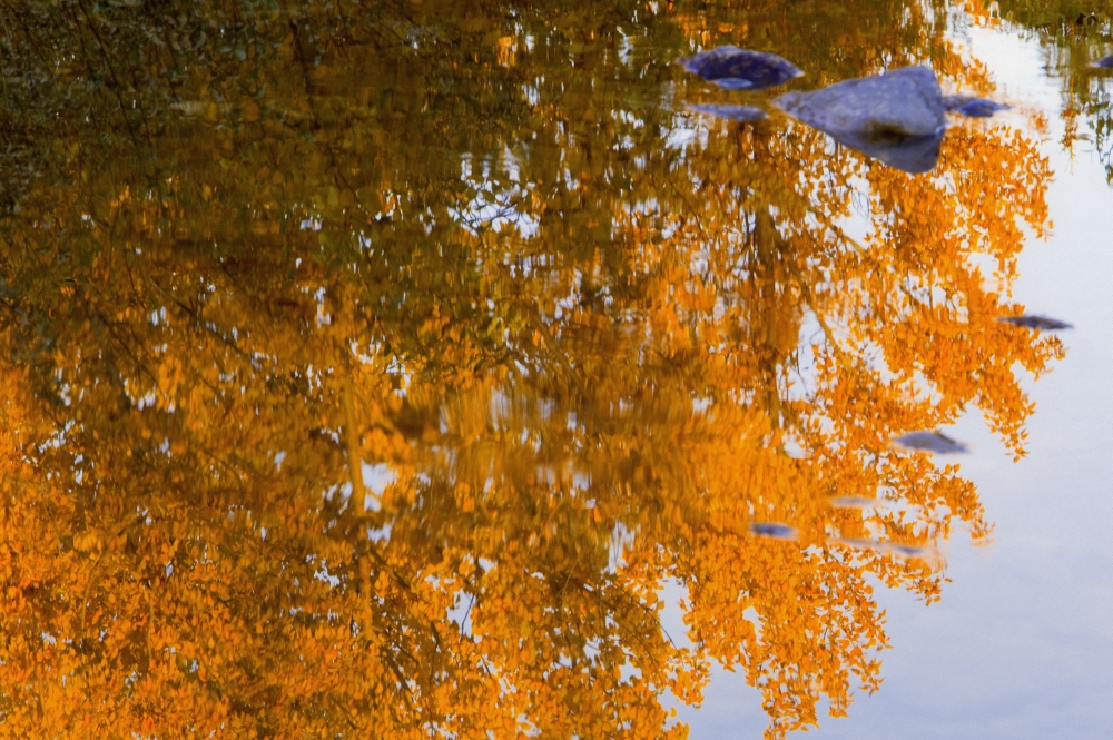 Autumn Reflections Poster Print by Carson Ganci, 34 x 22 - Large