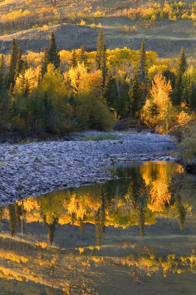 Autumn Reflections Poster Print by Carson Ganci, 22 x 34 - Large