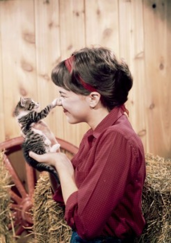 Girl Playing with Kitten Poster Print - 18 x 24 in.