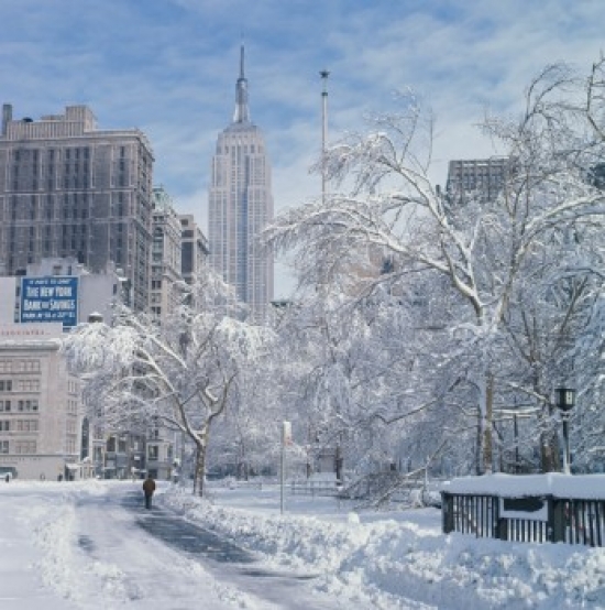 Trees & a Road Covered with Snow in Front of Skyscrapers Madison Square Manhattan New York City New York USA Poster Print - 18 x 24 in.