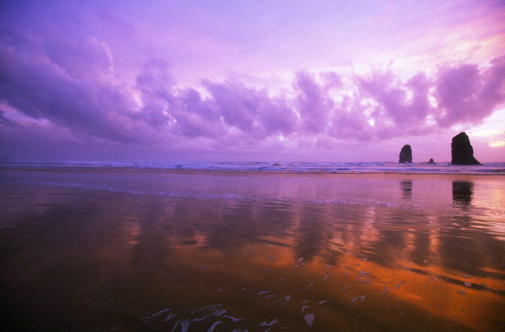 DPI1788452 Ocean Sunset Needle Rocks Cannon Beach Poster Print by Natural Selection Craig Tuttle, 18 x 12