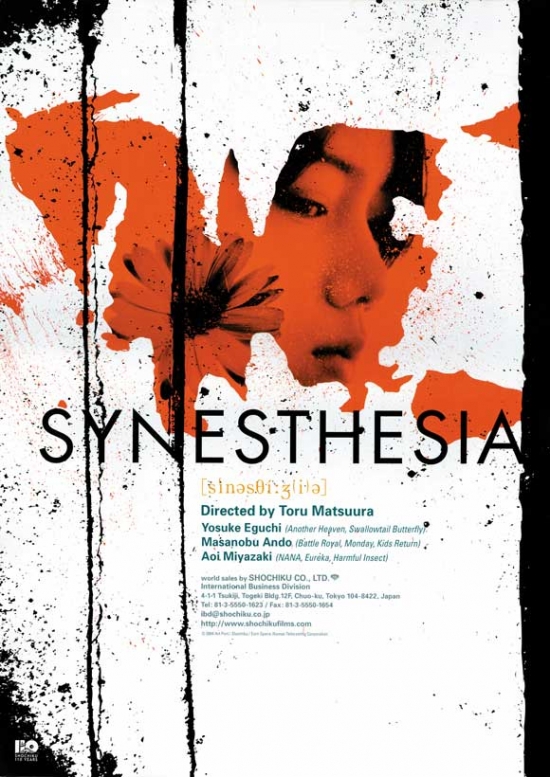 MOVIJ8657 Synesthesia Movie Poster - 27 x 40 in.
