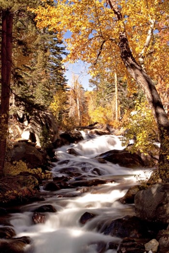 River & Trees Poster Print by Siep Bueneker - 24 x 36 in.