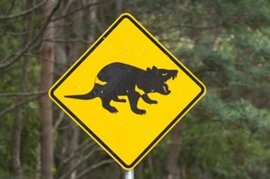 Tasmanian Devil Warning Sign Tasman Peninsula Australia Poster Print by David Wall - 26 x 18 in.