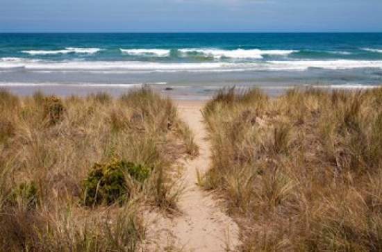 PDDAU01PSO0079 Australia Victoria Great Ocean Road Beach Poster Print by Paul Souders - 29 x 19 in.